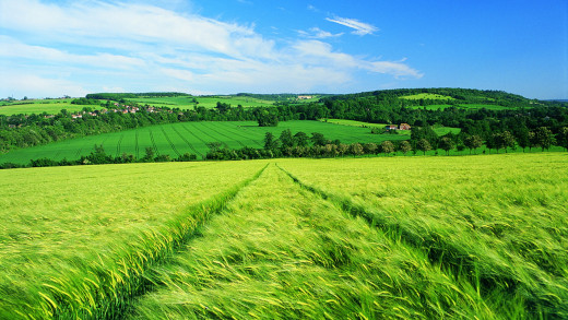 599885 (a): :1920x1080